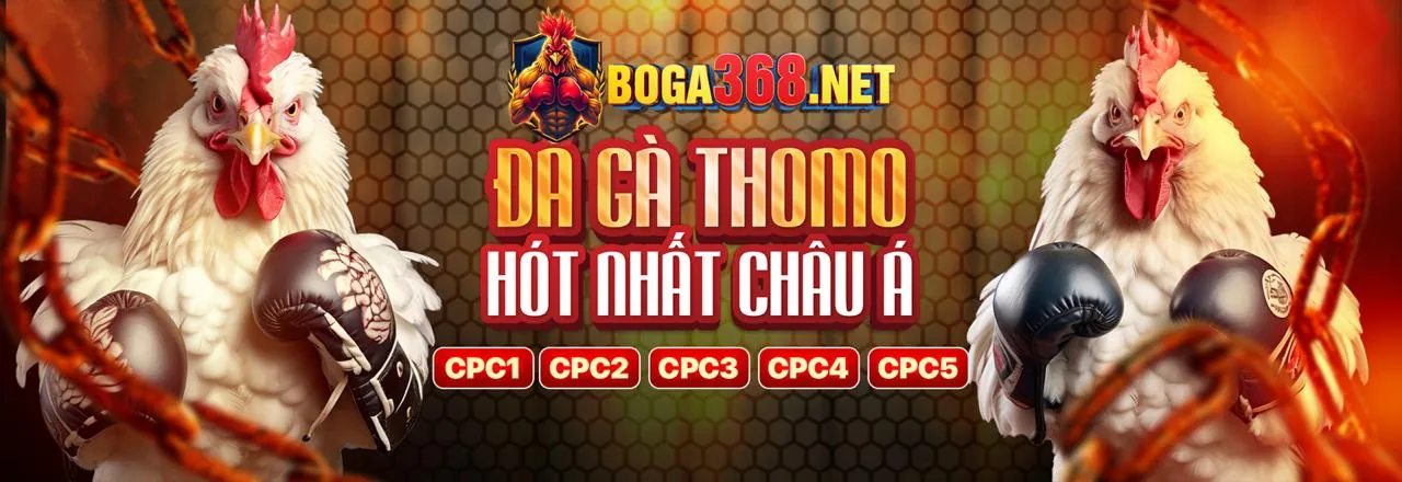 Trải nghiệm cá cược đá gà trực tuyến đỉnh cao tại hq88