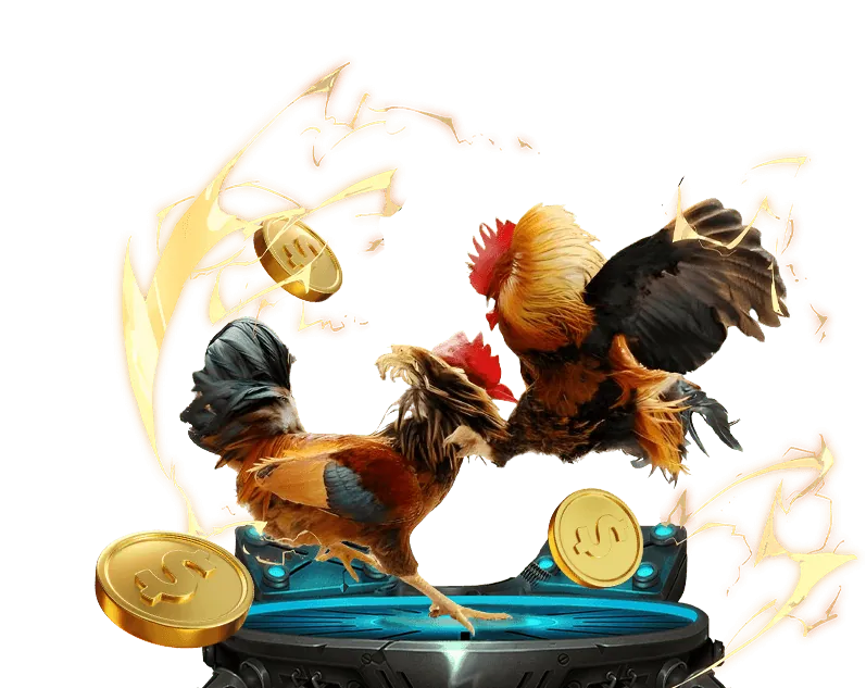 Luật chơi đá gà hq88